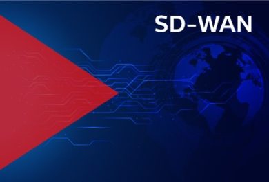 SD-WAN Service